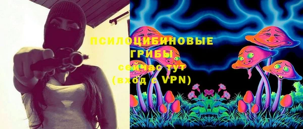 прущая мука Кодинск
