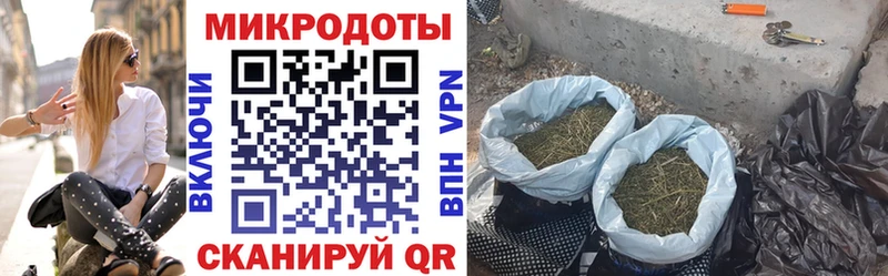 купить  цена  Нефтеюганск  Псилоцибиновые грибы Psilocybe 