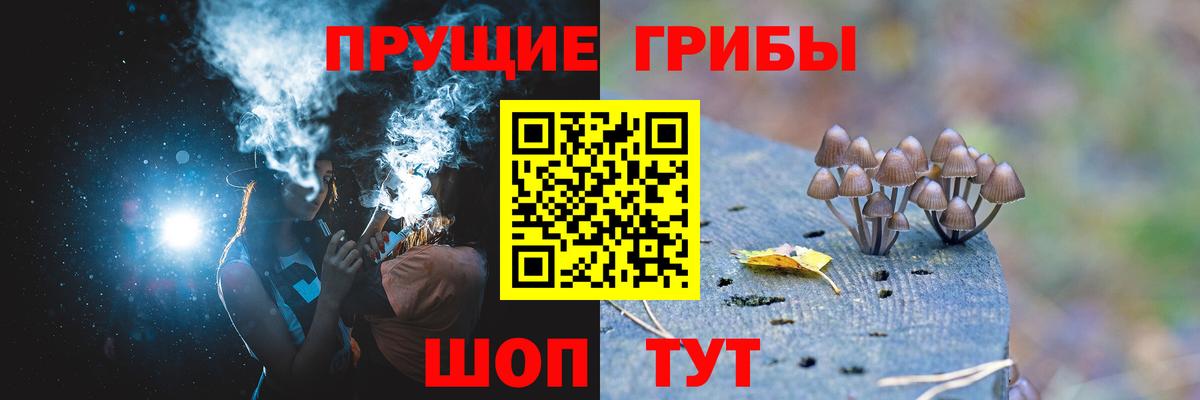 Нефтеюганск  Галлюциногенные грибы прущие грибы  Вход с VPN  Псилоцибиновые грибы прущие грибы 
